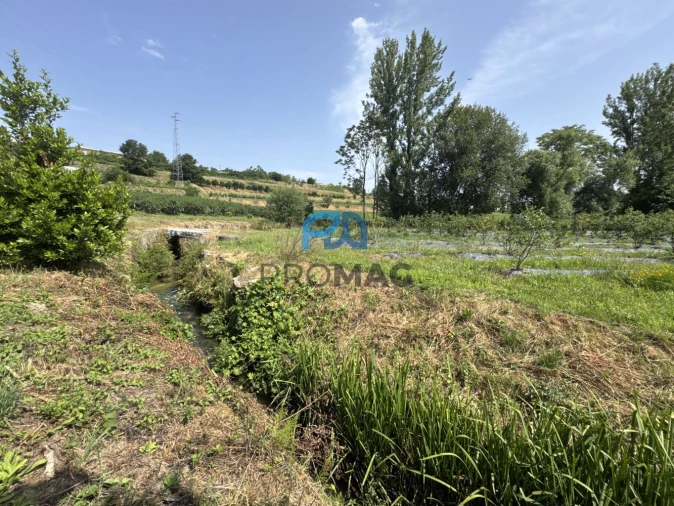 Terreno para Venda em Freixo de Cima e de Baixo Foto 12