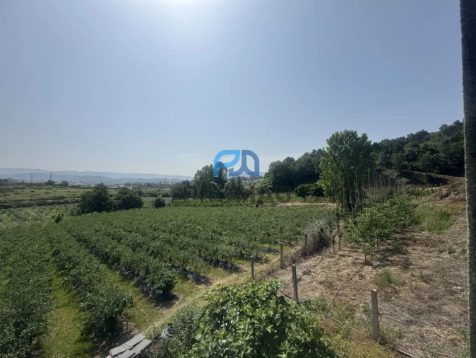 Terreno para Venda em Freixo de Cima e de Baixo Foto 4