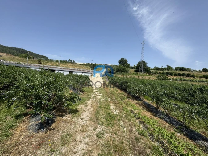Terreno para Venda em Freixo de Cima e de Baixo Foto 16