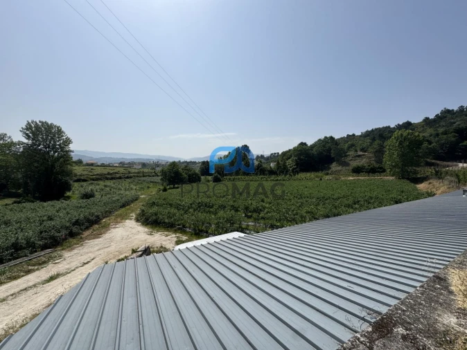 Terreno para Venda em Freixo de Cima e de Baixo Foto 9