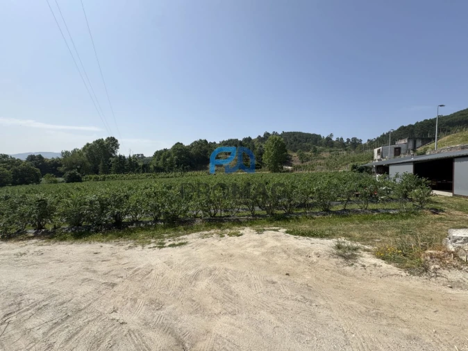 Terreno para Venda em Freixo de Cima e de Baixo Foto 19