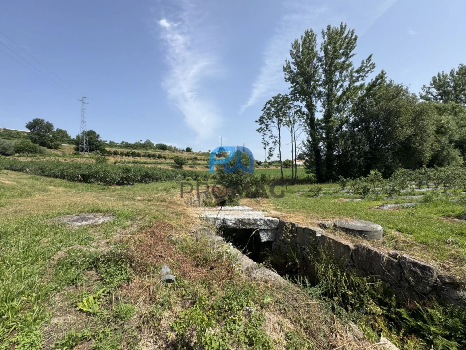 Terreno para Venda em Freixo de Cima e de Baixo Foto 14