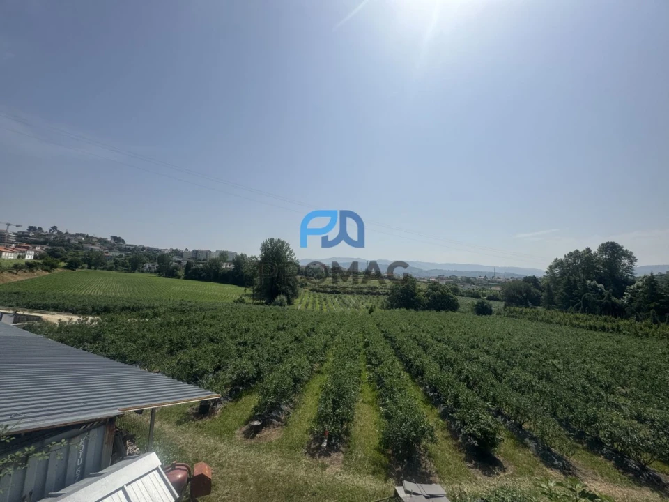 Terreno para Venda em Freixo de Cima e de Baixo Foto 2