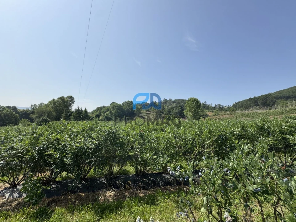 Terreno para Venda em Freixo de Cima e de Baixo Foto 17