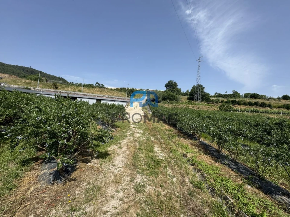 Terreno para Venda em Freixo de Cima e de Baixo Foto 16
