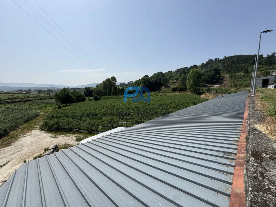 Terreno para Venda em Freixo de Cima e de Baixo Foto 8