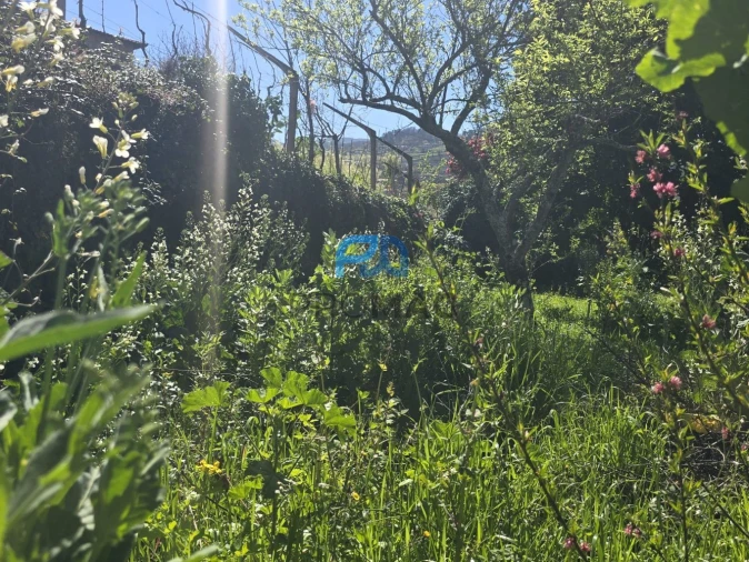 Moradia T6 para Venda em Resende Foto 11