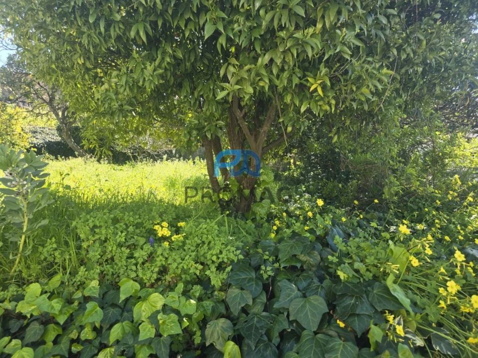 Moradia T6 para Venda em Resende Foto 30