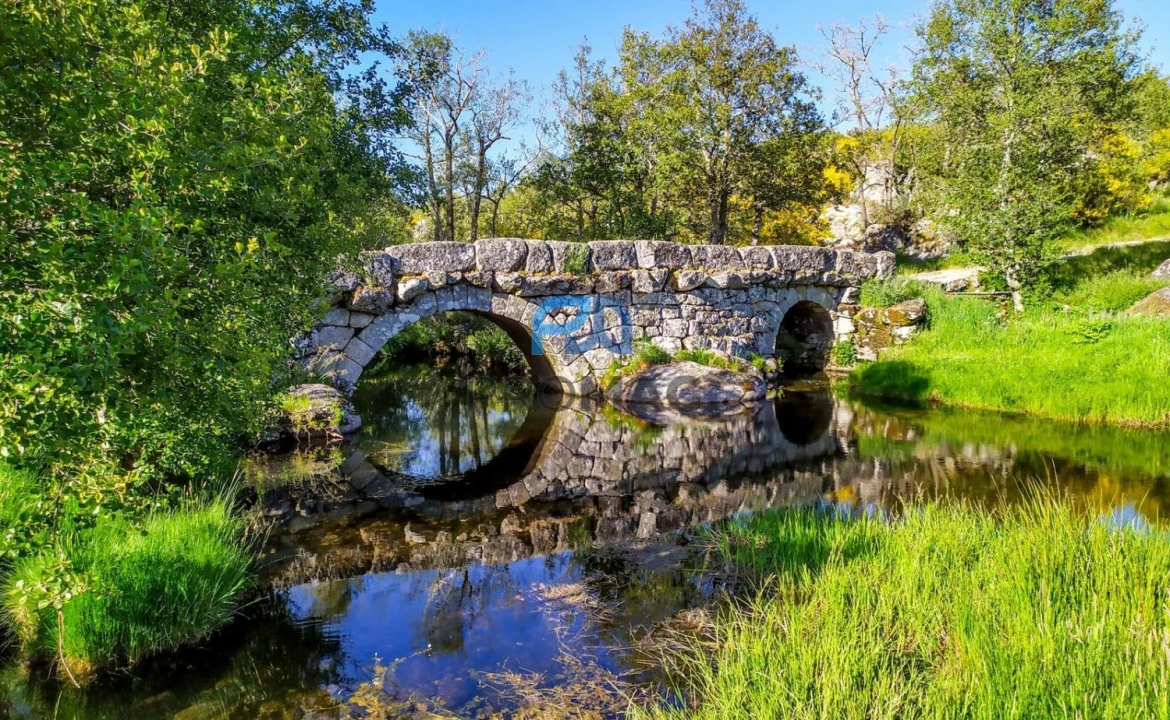 Moradia T2 para Venda em São Cipriano Foto 52