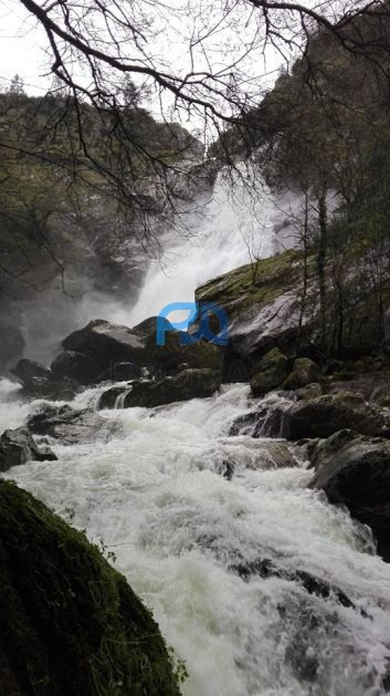Moradia T2 para Venda em São Cipriano Foto 46