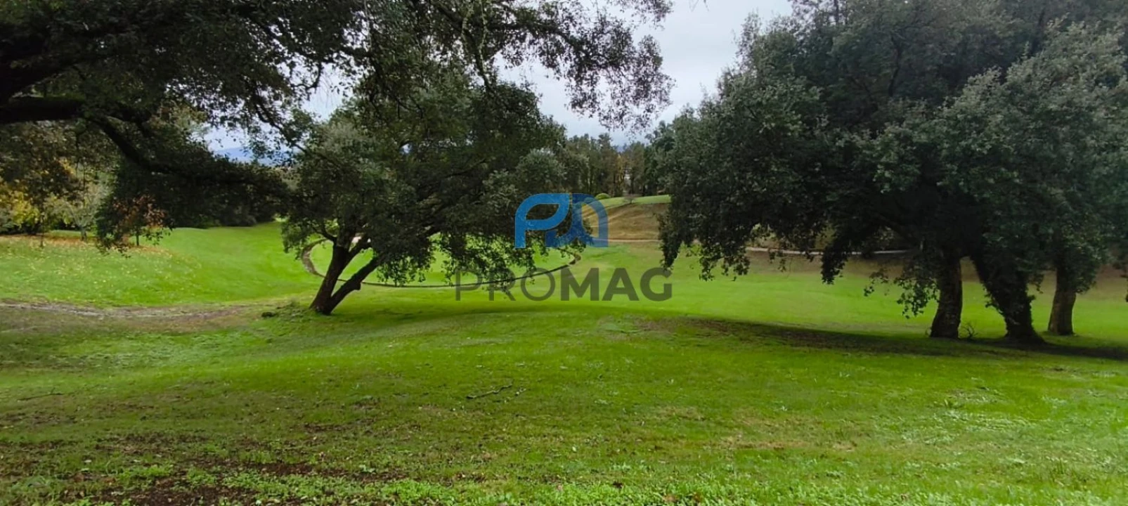 Moradia T2 para Venda em Gandra Foto 48