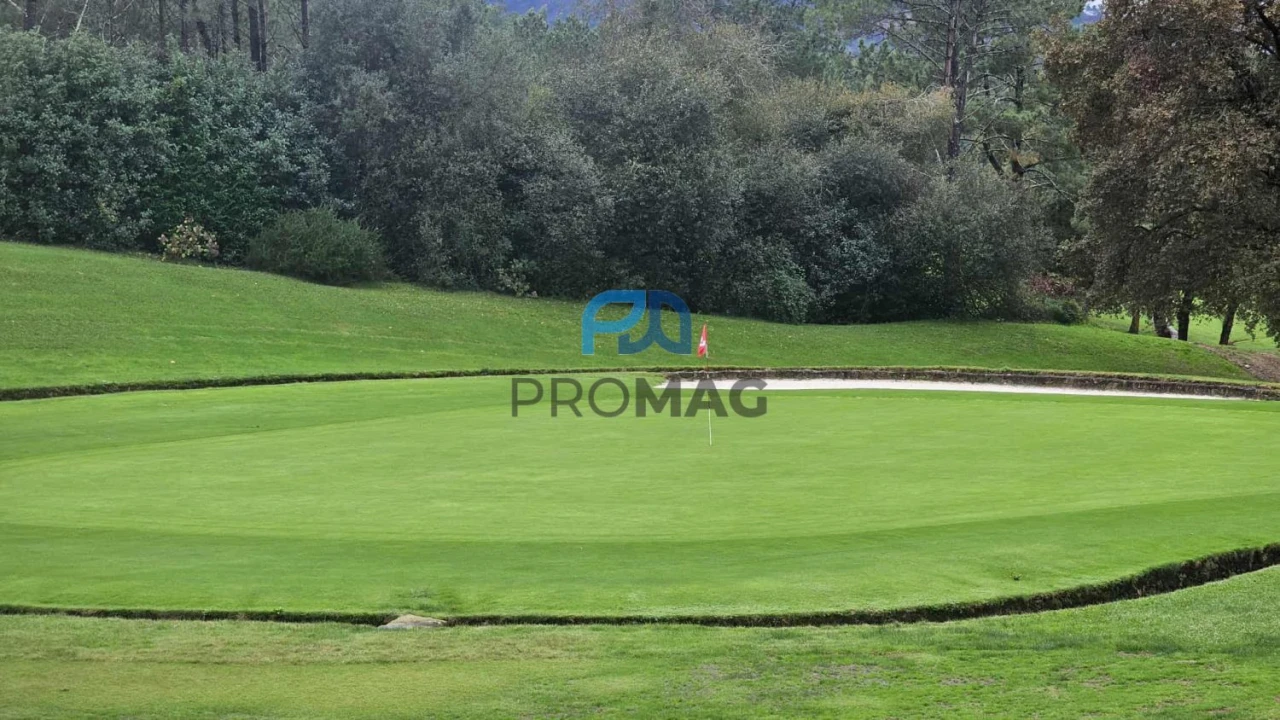 Moradia T2 para Venda em Gandra Foto 47