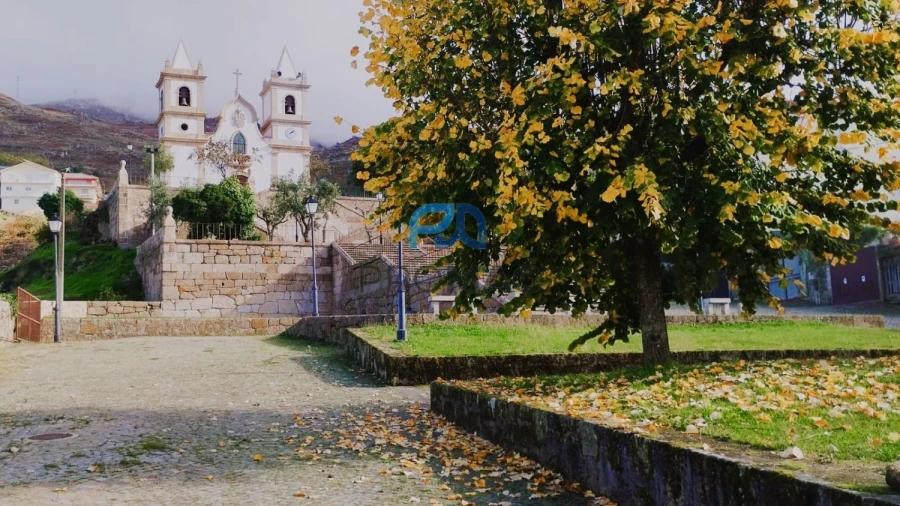 Moradia T3 para Venda em São Martinho de Mouros Foto 24