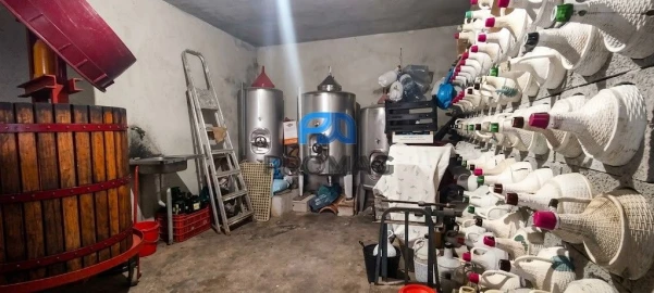 Moradia T4 para Venda em Anreade e São Romão de Aregos