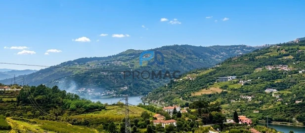 Moradia T4 para Venda em Anreade e São Romão de Aregos