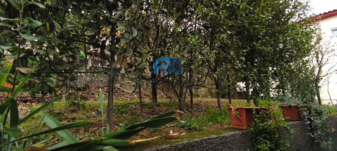 Moradia T4 para Venda em Anreade e São Romão de Aregos Foto 43