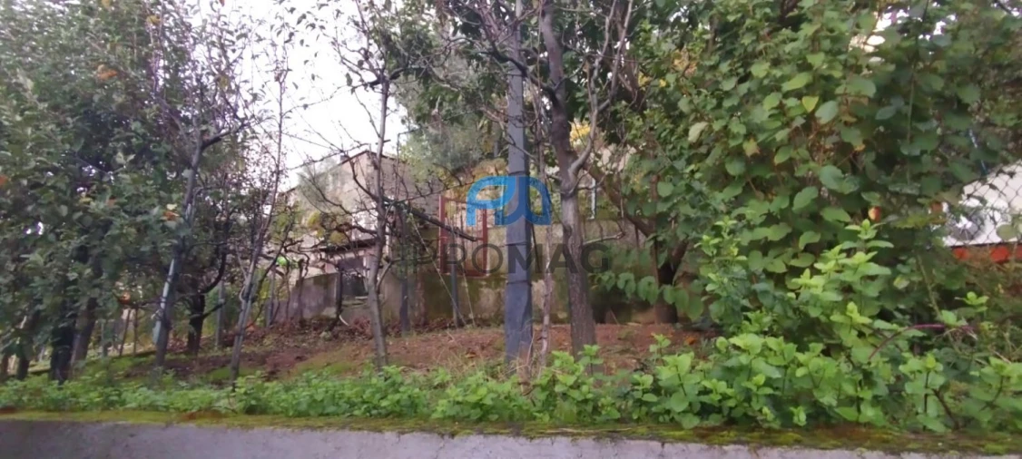 Moradia T4 para Venda em Anreade e São Romão de Aregos Foto 42