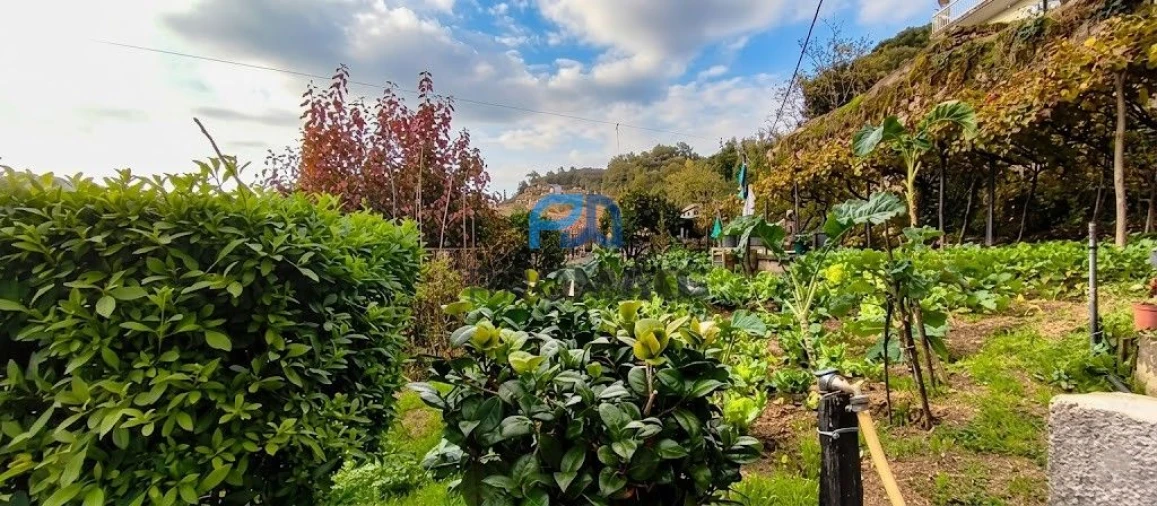 Moradia T4 para Venda em Anreade e São Romão de Aregos Foto 44