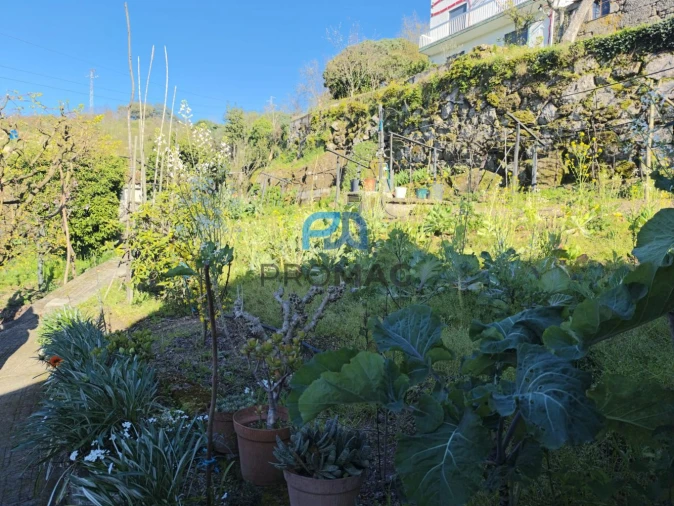 Moradia T4 para Venda em Anreade e São Romão de Aregos Foto 55