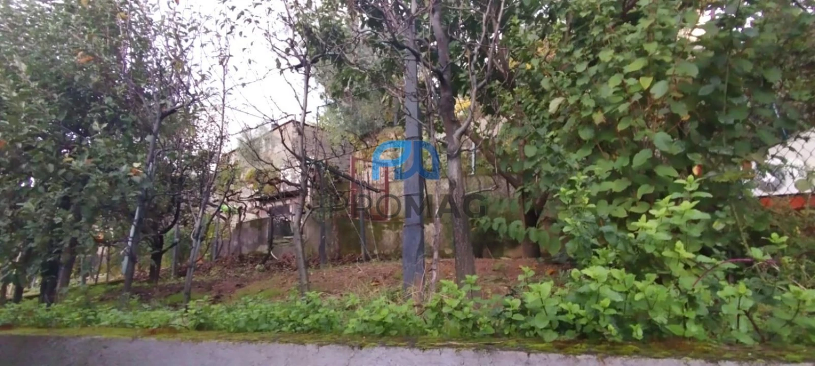 Moradia T4 para Venda em Anreade e São Romão de Aregos Foto 42