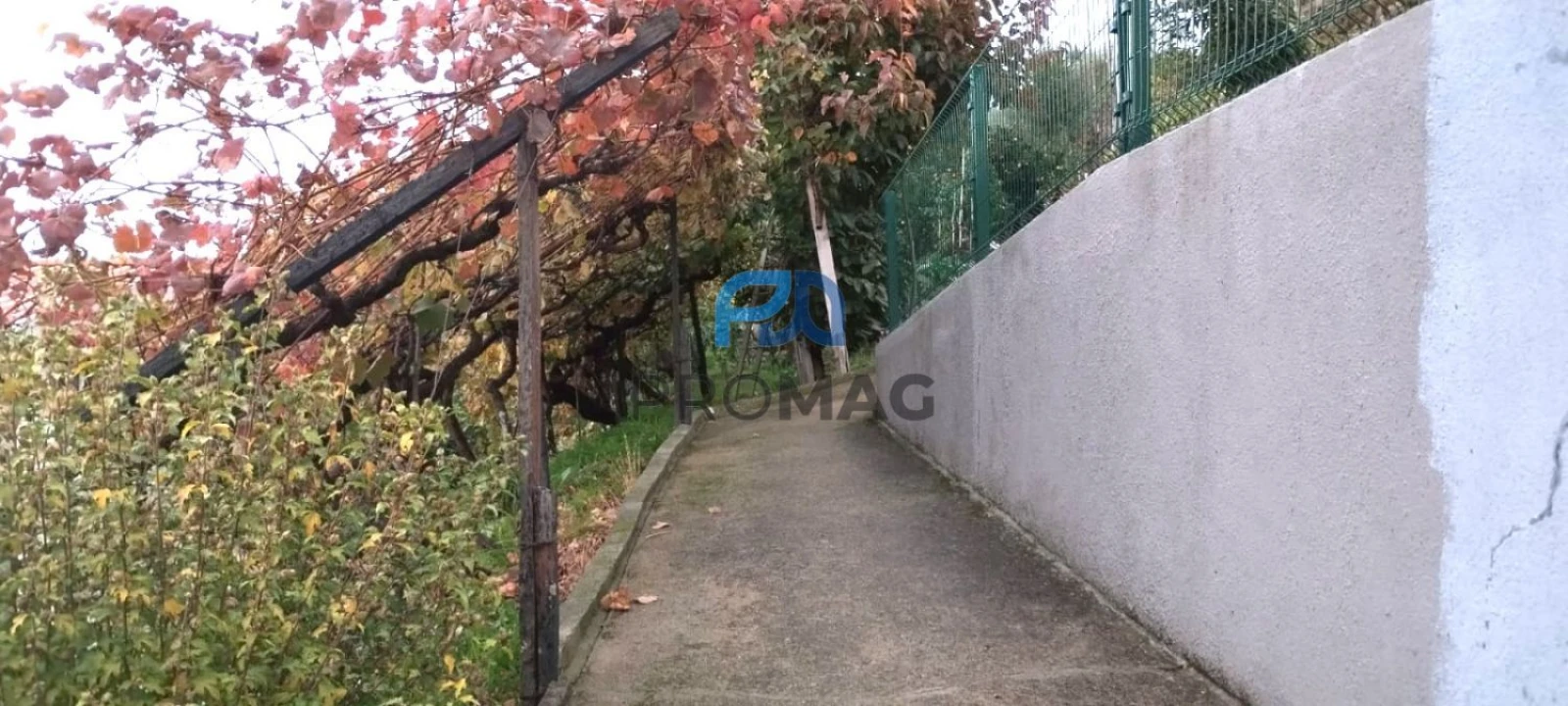 Moradia T4 para Venda em Anreade e São Romão de Aregos Foto 17