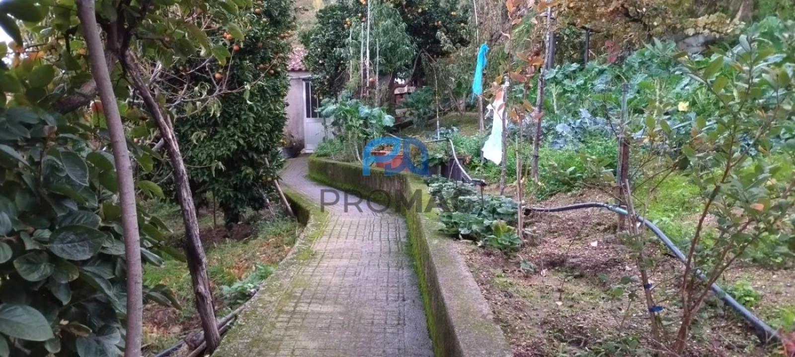 Moradia T4 para Venda em Anreade e São Romão de Aregos Foto 19