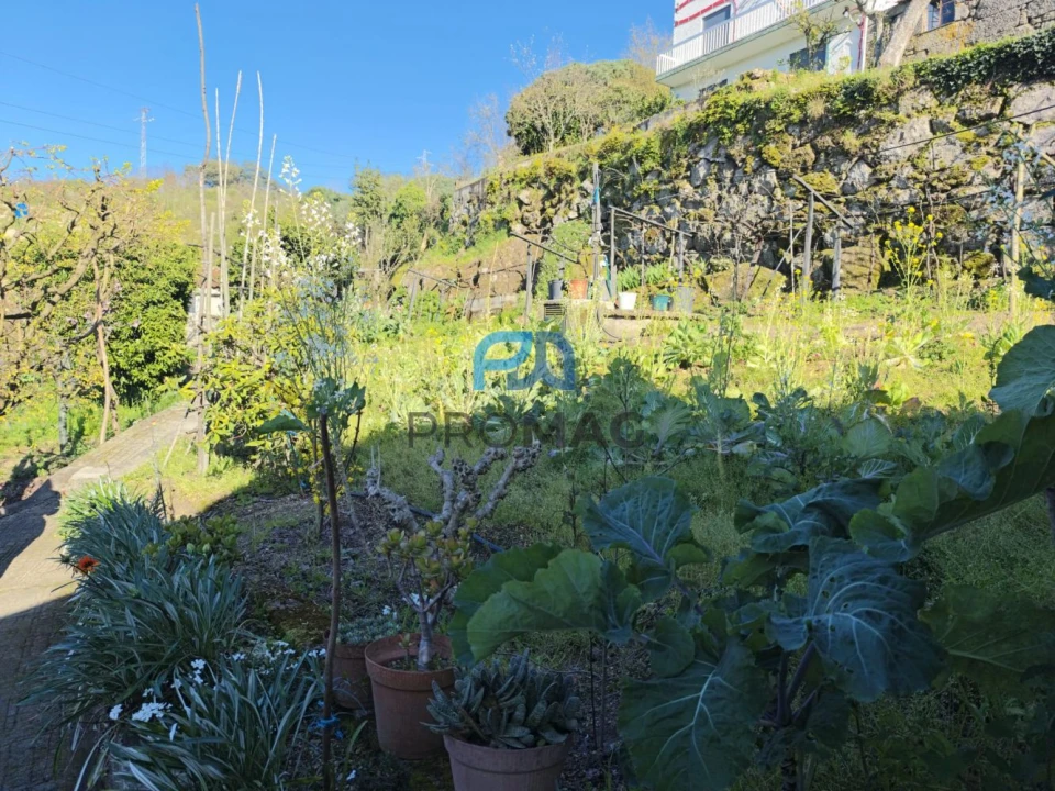 Moradia T4 para Venda em Anreade e São Romão de Aregos Foto 55