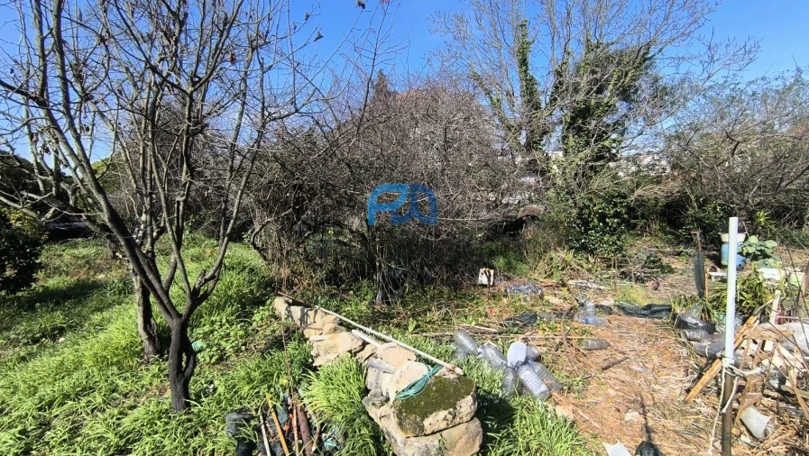 Moradia T6 para Venda em Ramalde Foto 14