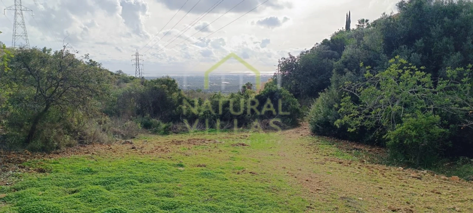 Terreno Agricola ou Rústico para Venda em Conceição e Estoi Foto 1