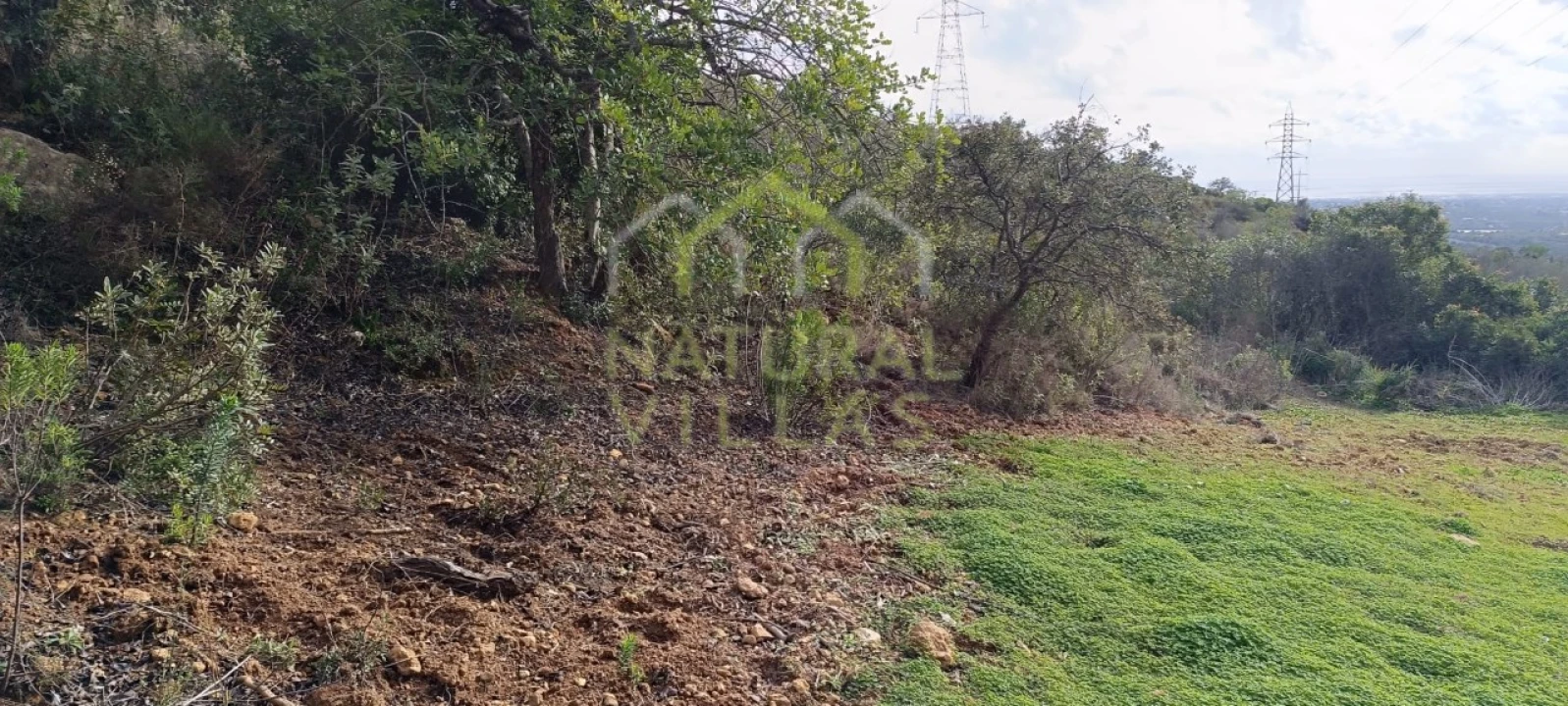Terreno Agricola ou Rústico para Venda em Conceição e Estoi Foto 2