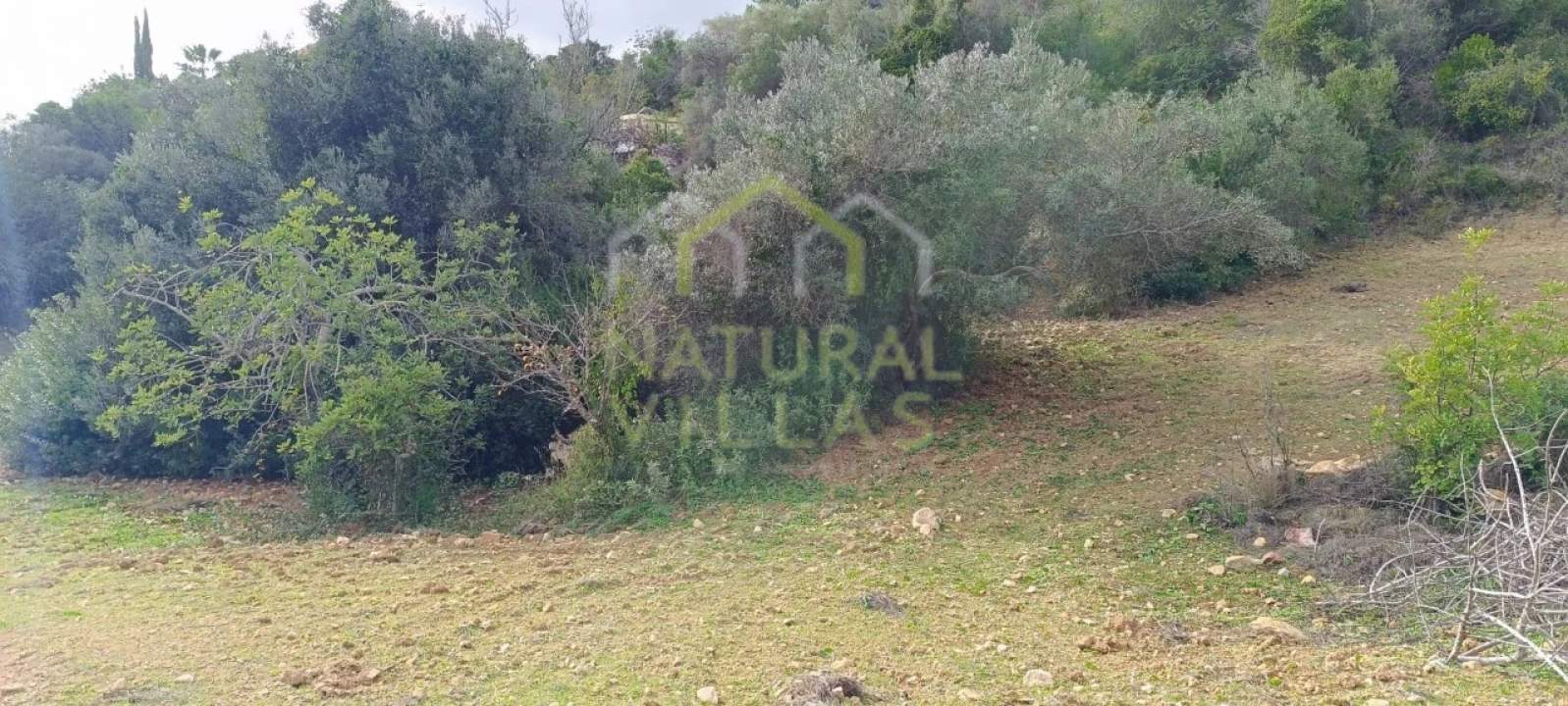 Terreno Agricola ou Rústico para Venda em Conceição e Estoi Foto 3