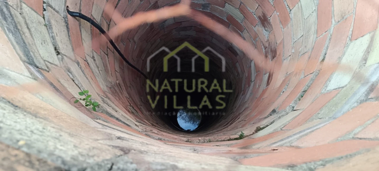 Terreno Agricola ou Rústico para Venda em Conceição e Estoi Foto 5