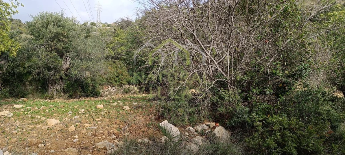 Terreno Agricola ou Rústico para Venda em Conceição e Estoi Foto 4