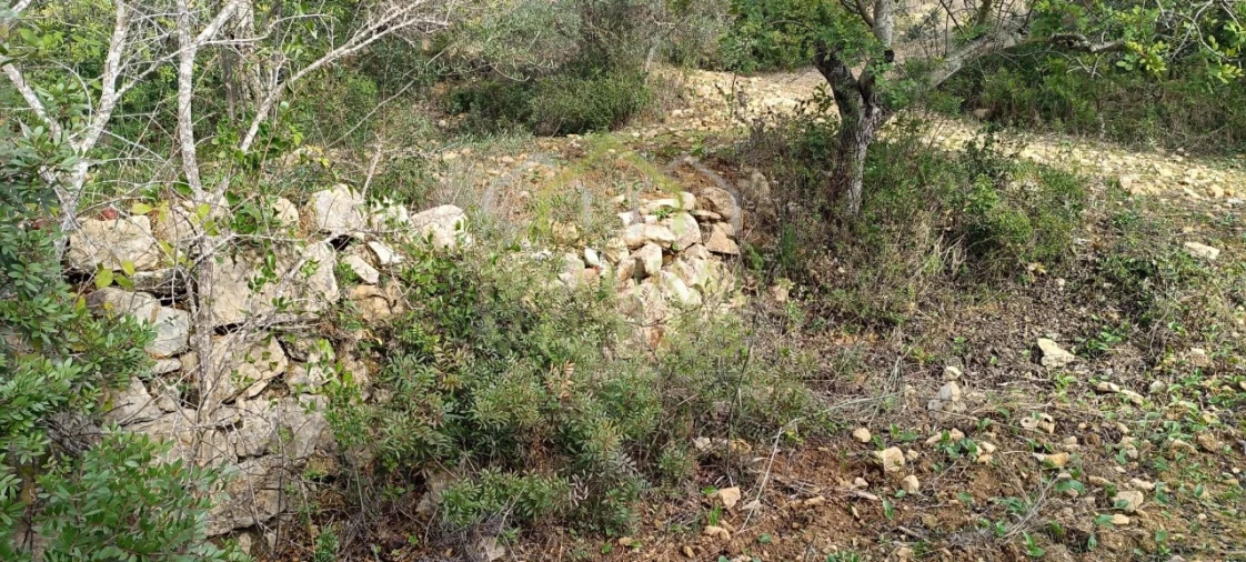 Terreno Agricola ou Rústico para Venda em Conceição e Estoi Foto 6