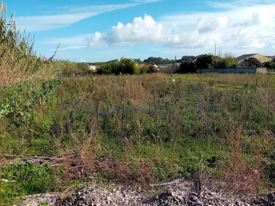 Terreno para Venda em Silveira Foto 9