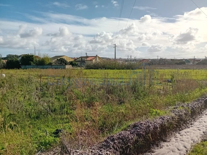 Terreno para Venda em Silveira Foto 6