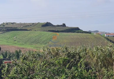 Terreno para Venda em Ventosa