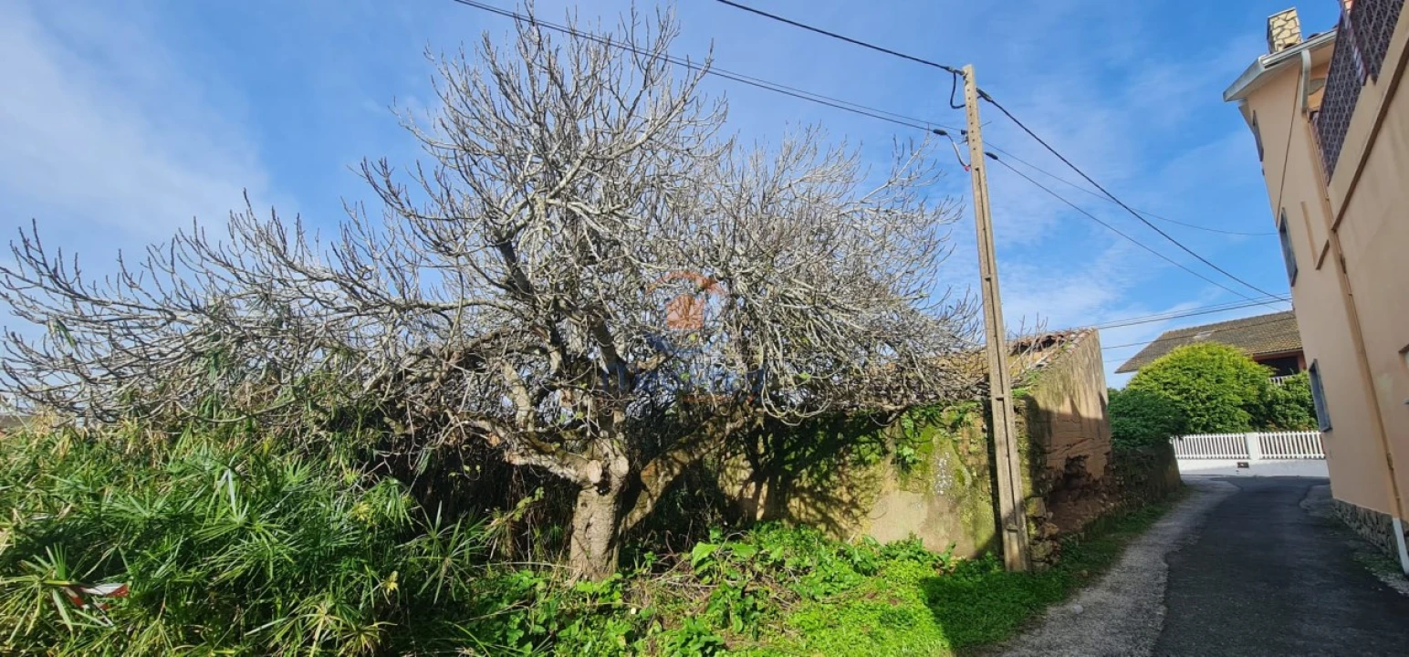 Moradia T1 para Venda em Ventosa Foto 3