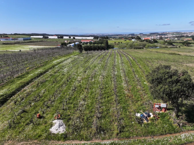 Terreno para Venda em Moita dos Ferreiros Foto 12