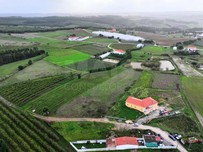Terreno para Venda em Moita dos Ferreiros Foto 6