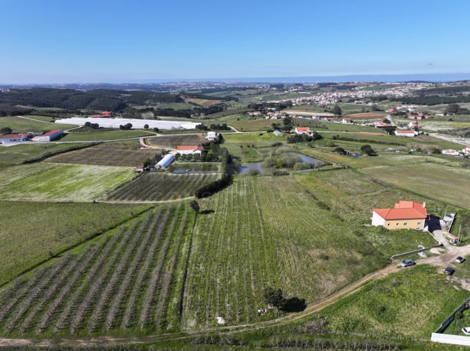 Terreno para Venda em Moita dos Ferreiros Foto 11