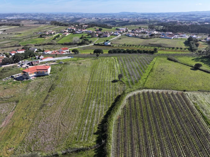 Terreno para Venda em Moita dos Ferreiros Foto 4