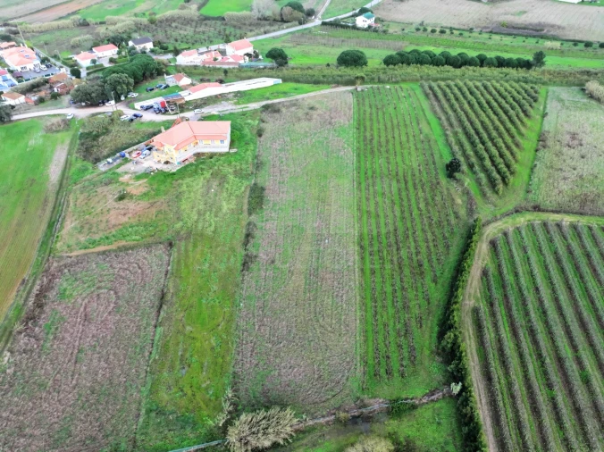 Terreno para Venda em Moita dos Ferreiros Foto 5