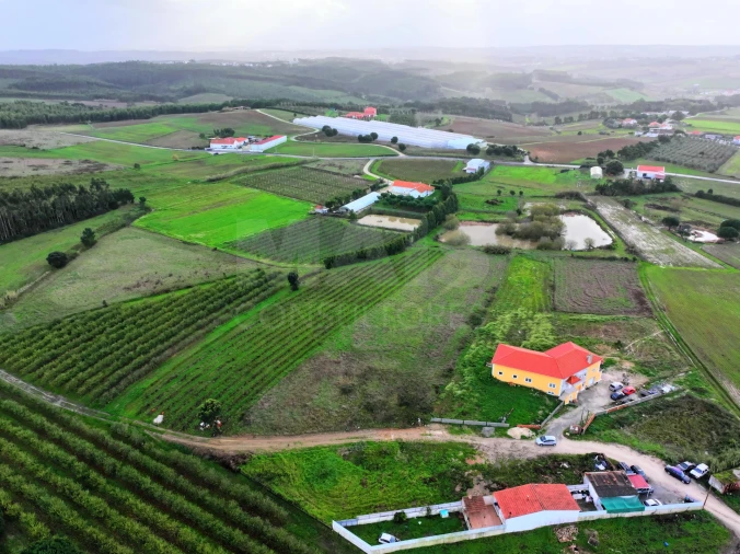 Terreno para Venda em Moita dos Ferreiros Foto 2