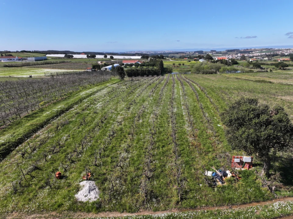 Terreno para Venda em Moita dos Ferreiros Foto 12