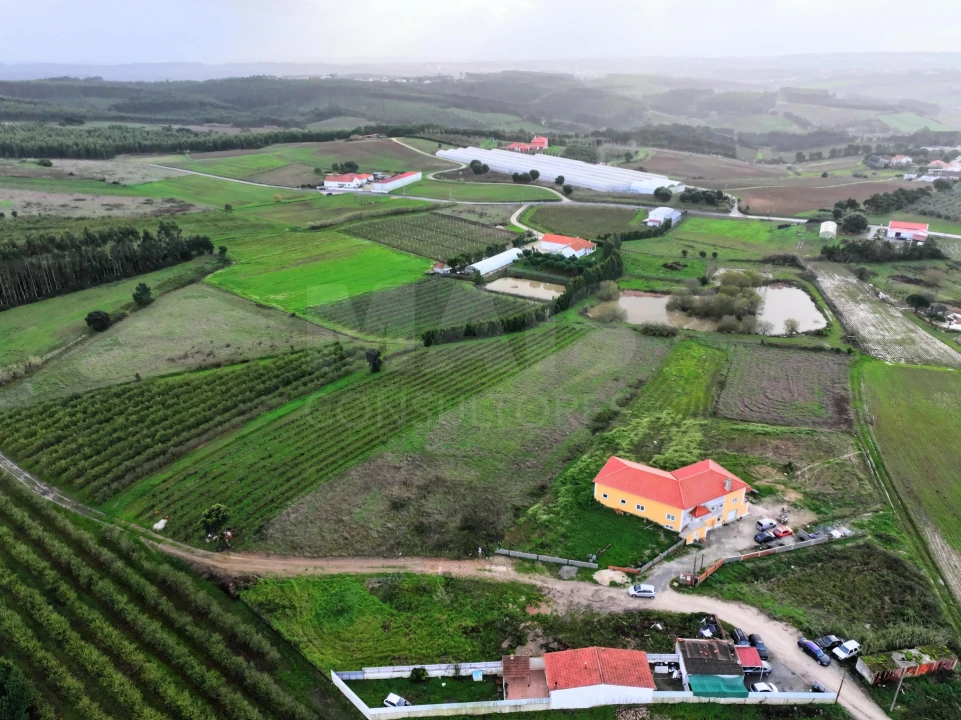 Terreno para Venda em Moita dos Ferreiros Foto 6