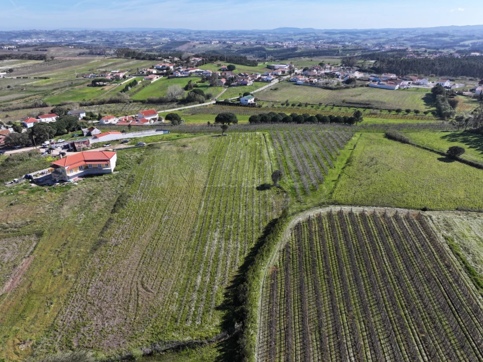 Terreno para Venda em Moita dos Ferreiros Foto 4