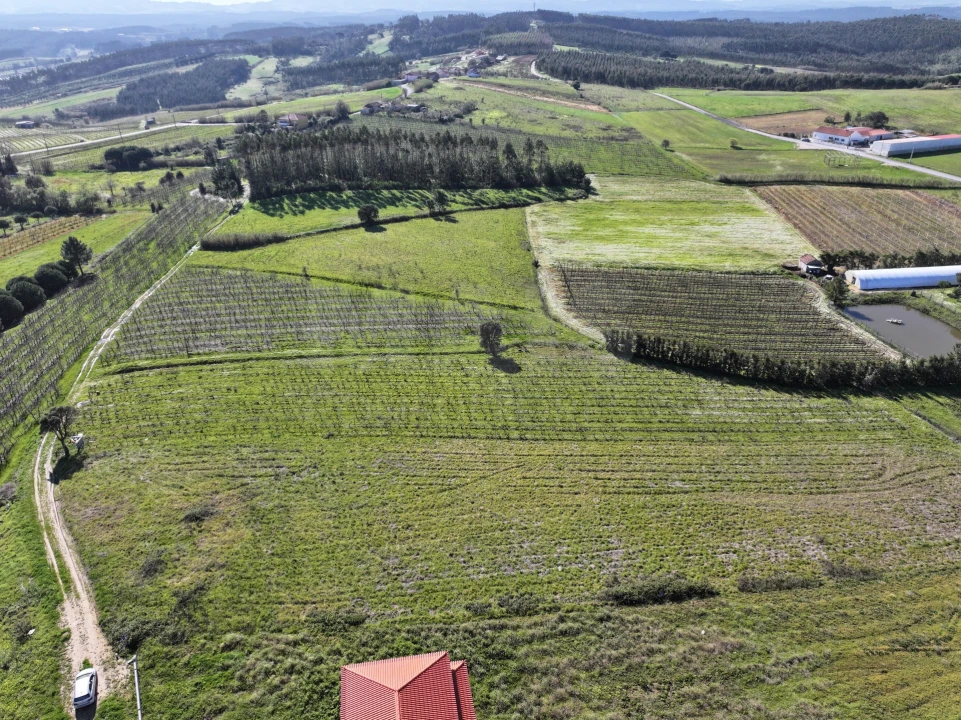 Terreno para Venda em Moita dos Ferreiros Foto 2