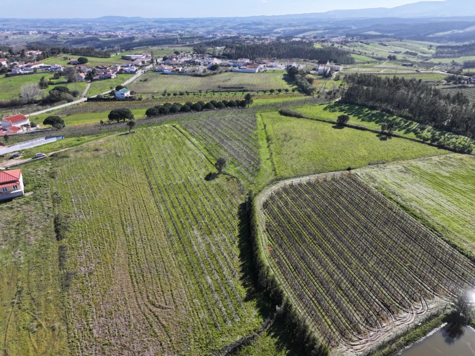 Terreno para Venda em Moita dos Ferreiros Foto 3