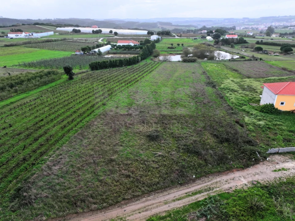 Terreno para Venda em Moita dos Ferreiros Foto 4
